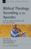 Biblical theology according to the apostles - how the earliest christians told the story of the Old Testament (NSBT)