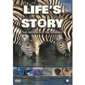 Life's Story 2: The Reason For The Journey