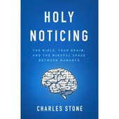 Holy Noticing - the bible, your brain, and the mindful space between moments