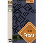 KJV Bible for Teens Slate Blue