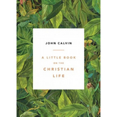 Little Book On The Christian Life, A