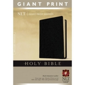 NLT Holy Bible, Giant Print