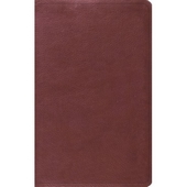 ESV Value Thinline Bible (Trutone, Burgundy)