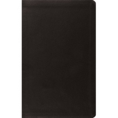 ESV Value Thinline Bible (Trutone, Black)