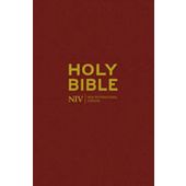 NIV Popular Bible Burgundy Hardback