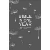 NIV Bible In One Year