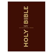 NIV Clear Print Bible