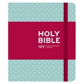 NIV Journalling Bible Mint Polka-Dot Patterned Cloth