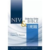 NIV & The Message Side-by-side