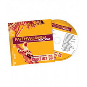 Faithweaver Now Grades 1&2 Cd Summer 2017