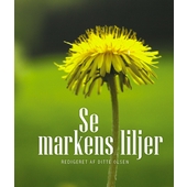 Se markens liljer