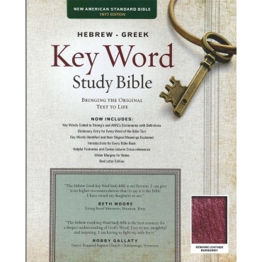 Hebrew-Greek Key Word Study Bible, The