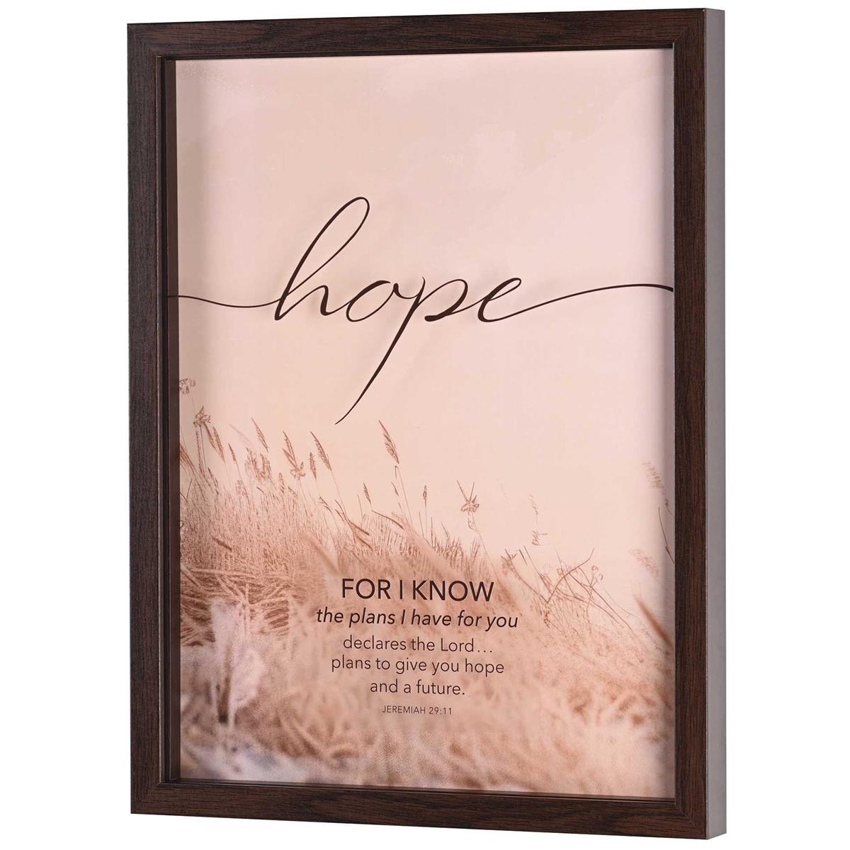 Framed Wall Art - Hope, For I Know Plans